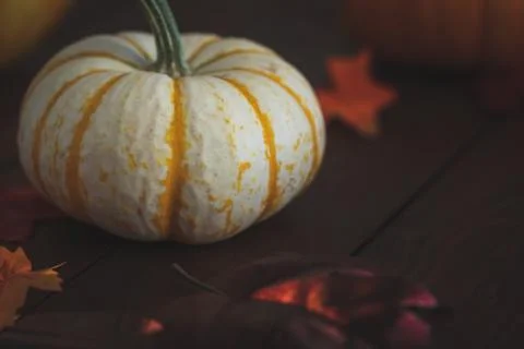 Pumpkins with fall foliage in front of a dark wooden background. Stock Photos
