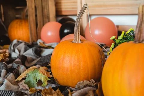 Pumpkins with fall leaves and orange balloons with artificial cobweb. Stock Photos