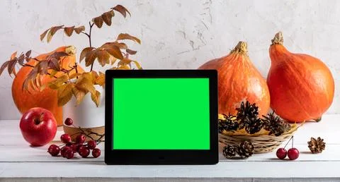 Pumpkins, fall leaves, cones and electronic photo frame with green screen o.. Stock Photos