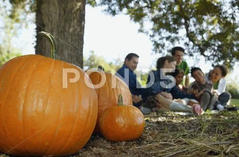 Pumpkins with family in background Stock-Fotos