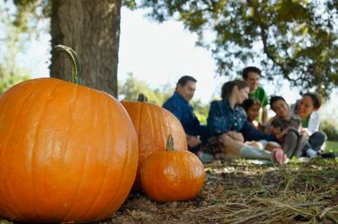 Pumpkins with family in background Stock Photos