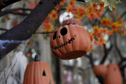 Pumpkins on the floor of the haystack Stock Photos