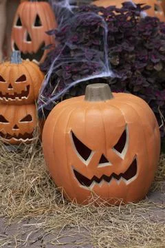 Pumpkins on the floor of the haystack Stock Photos