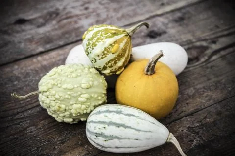 Pumpkins on the floor Stock Photos