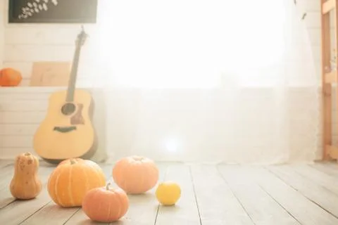Pumpkins on the floor in the room Stock-Fotos