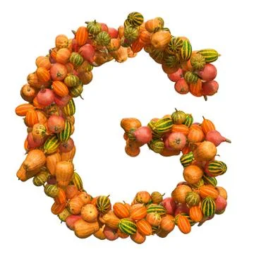 Pumpkins font, letter G from squashes. 3D rendering Stock Illustration