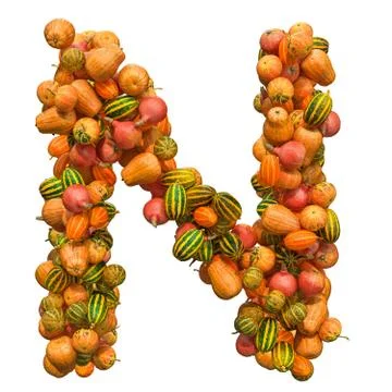 Pumpkins font, letter N from squashes. 3D rendering Stock Illustration