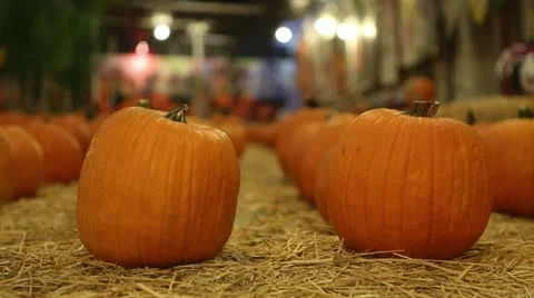 Pumpkins 库存影片 12284744