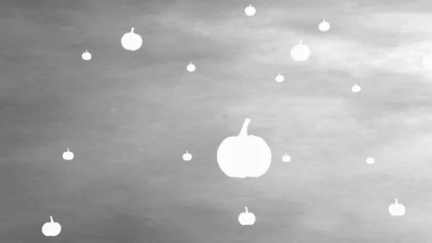 Pumpkins Stock Footage 81193324