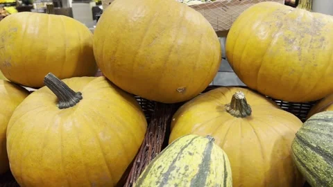 Pumpkins Stock Footage 318058192