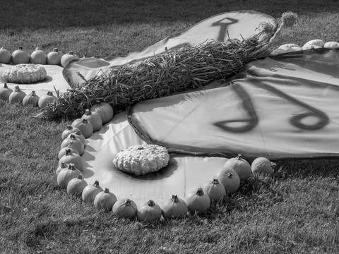 Pumpkins in germany Stock Photos