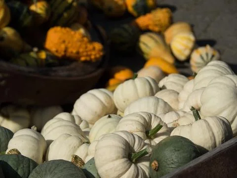 Pumpkins in germany Stock Photos