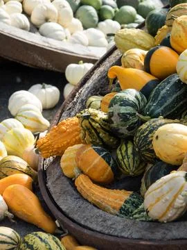 Pumpkins in germany 스톡 사진