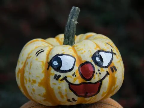 Pumpkins in germany 写真素材