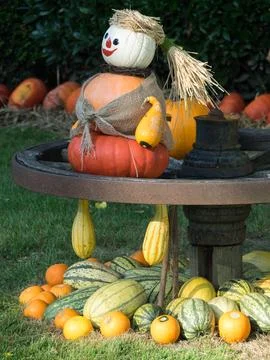 Pumpkins in germany Fotos Stock