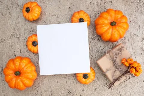 Pumpkins gift box with berries and blank card on plywood Stock Photos