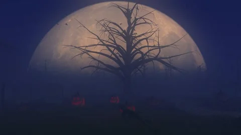 Pumpkins In Graveyard Stock Footage 252286403