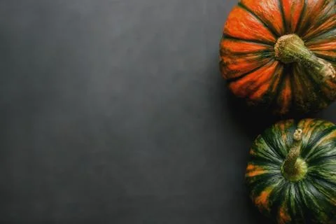 Pumpkins on a gray background for text Stock Photos