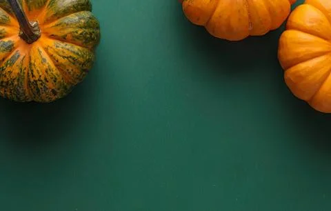 Pumpkins on green background for fall or halloween Stock Photos