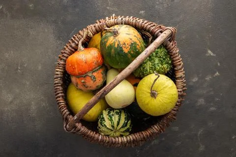 Pumpkins on a green background Stock Photos