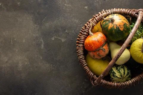 Pumpkins on a green background Stock Photos