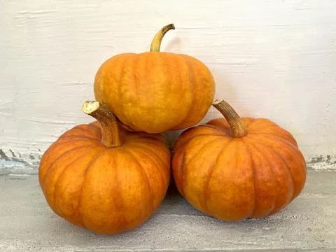 Pumpkins on grey concrete background. Three whole sweet pumpkins. Storage of Stock Photos