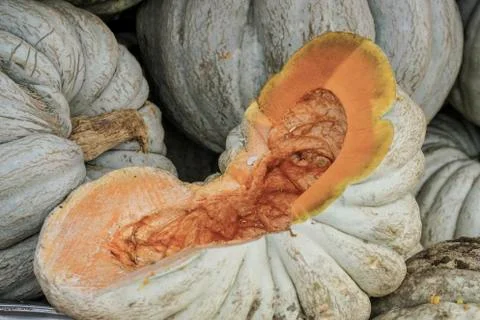 Pumpkins at a grocery Stock Photos