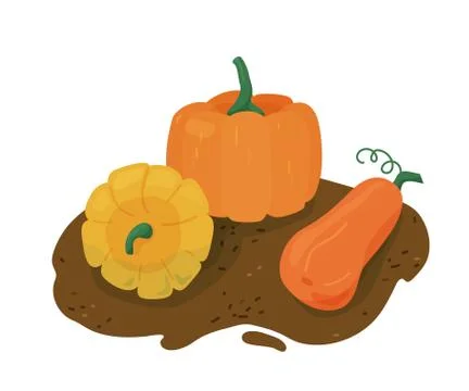 Pumpkins group on ground vector illustration. Design elements for seasonal Stock Illustration