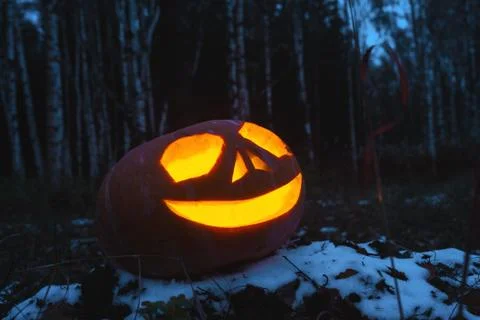 Pumpkins for Halloween Stock-Fotos