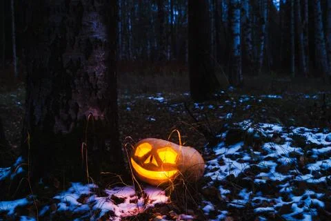 Pumpkins for Halloween Stock Photos