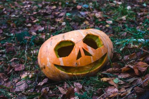 Pumpkins for Halloween 스톡 사진
