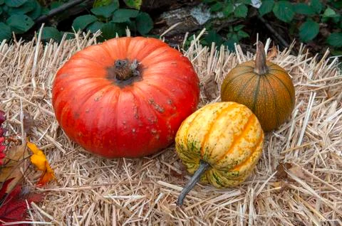 Pumpkins on a hay bale Stock Photos