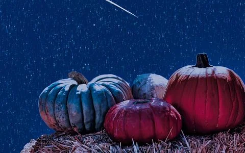 Pumpkins on Hay Bale Under Starry Night Sky with Meteor Shower Stock Photos