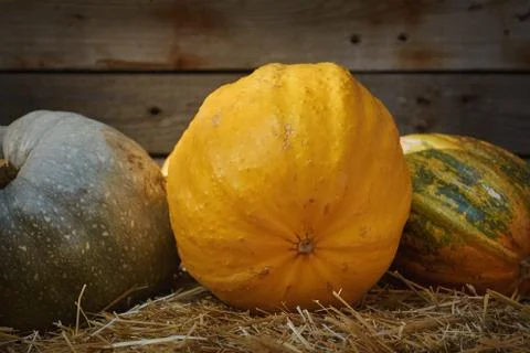 Pumpkins on a Hay Stock Photos