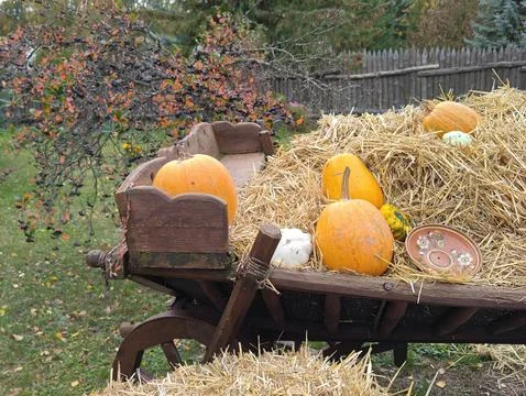 Pumpkins on hay Stock Photos