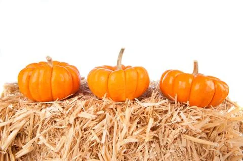 Pumpkins on hay with white background Stock Photos