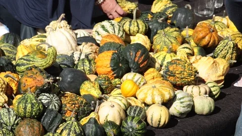 Pumpkins heap in a market 動画素材 96236592