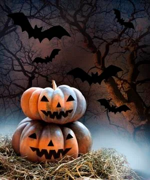 Pumpkins on hey on dark background with bats. Halloween concept Stock Photos