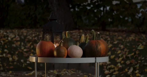 Pumpkins ia a falling leafs background at night Stock Footage 218613958