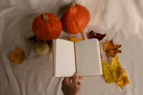 Pumpkins iin Autmn or Fall set Up with Notebook on Table. Pumpkin Cozy Decor Stock Photos