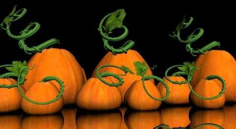 Pumpkins Stock-Illustration
