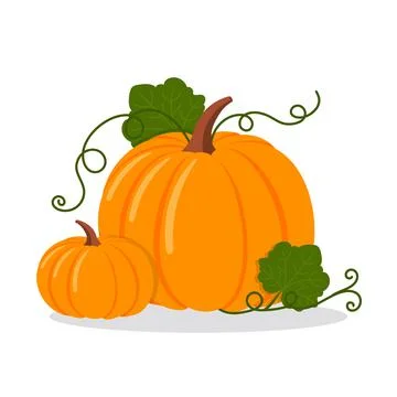 Pumpkins, isolated flat vector illustration Stock Illustration