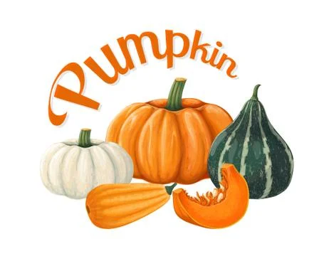 Pumpkins. Isolated objects Stock Illustration