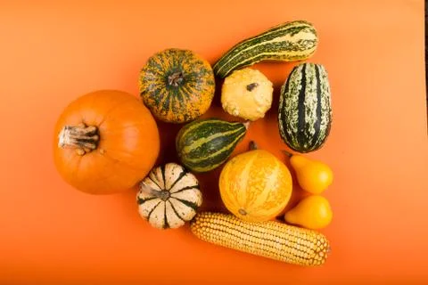 Pumpkins isolated on orange background Stock Photos