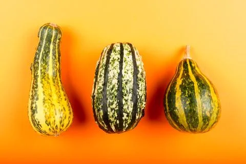Pumpkins isolated on orange background Stock Photos