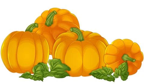 Pumpkins isolated on a white background Stock Illustration