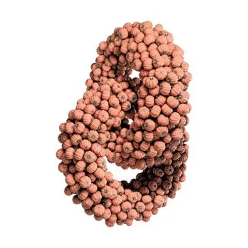 Pumpkins isolated on white Stock Illustration