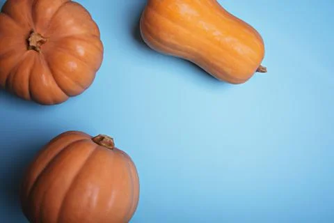 Pumpkins on a light blue background. Stock-Fotos