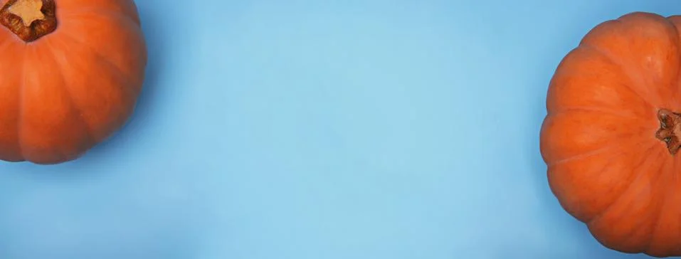 Pumpkins on a light blue background. Stock Photos