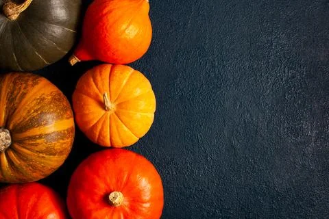 Pumpkins Lined on Dark Blue Background - Top View Stock Photos